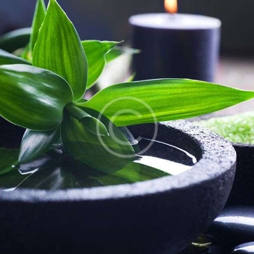 Physiotherapy vs. Massage Therapy: Which One Do I Need?